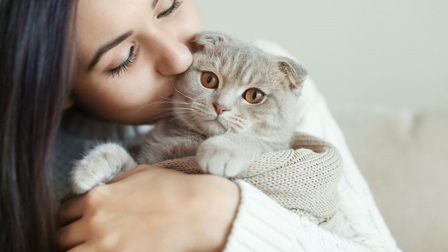 Habitudes des personnes qui ont un chat