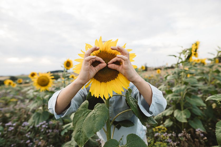 Phrases positives qui mettent de bonne humeur