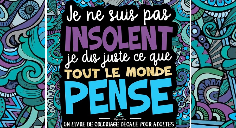 « Je ne suis pas insolent, je dis juste ce que tout le monde pense », le cahier de coloriages pour déculpabiliser