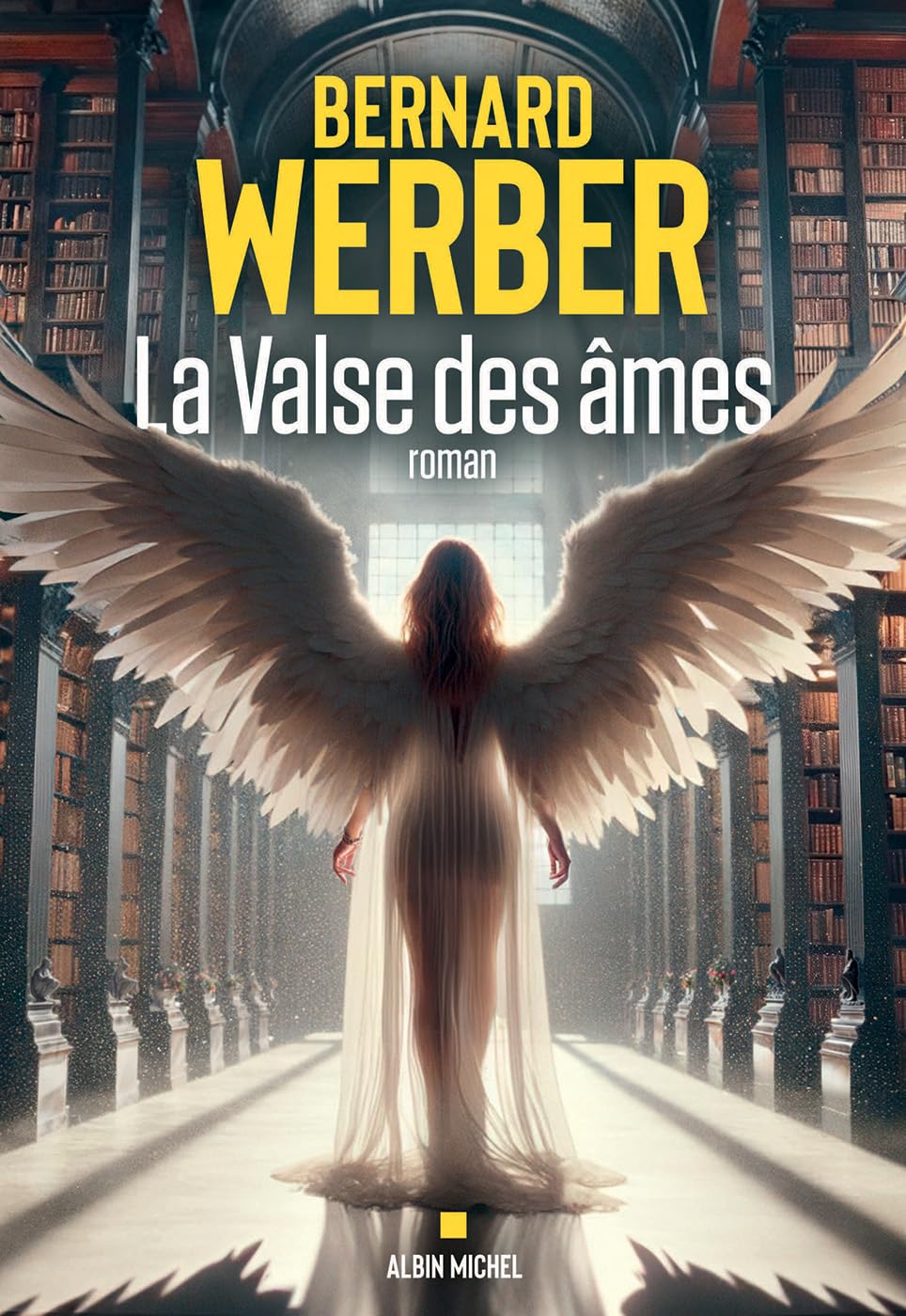 la-valse-des-ames-bernard-werber-avis-prix-resume