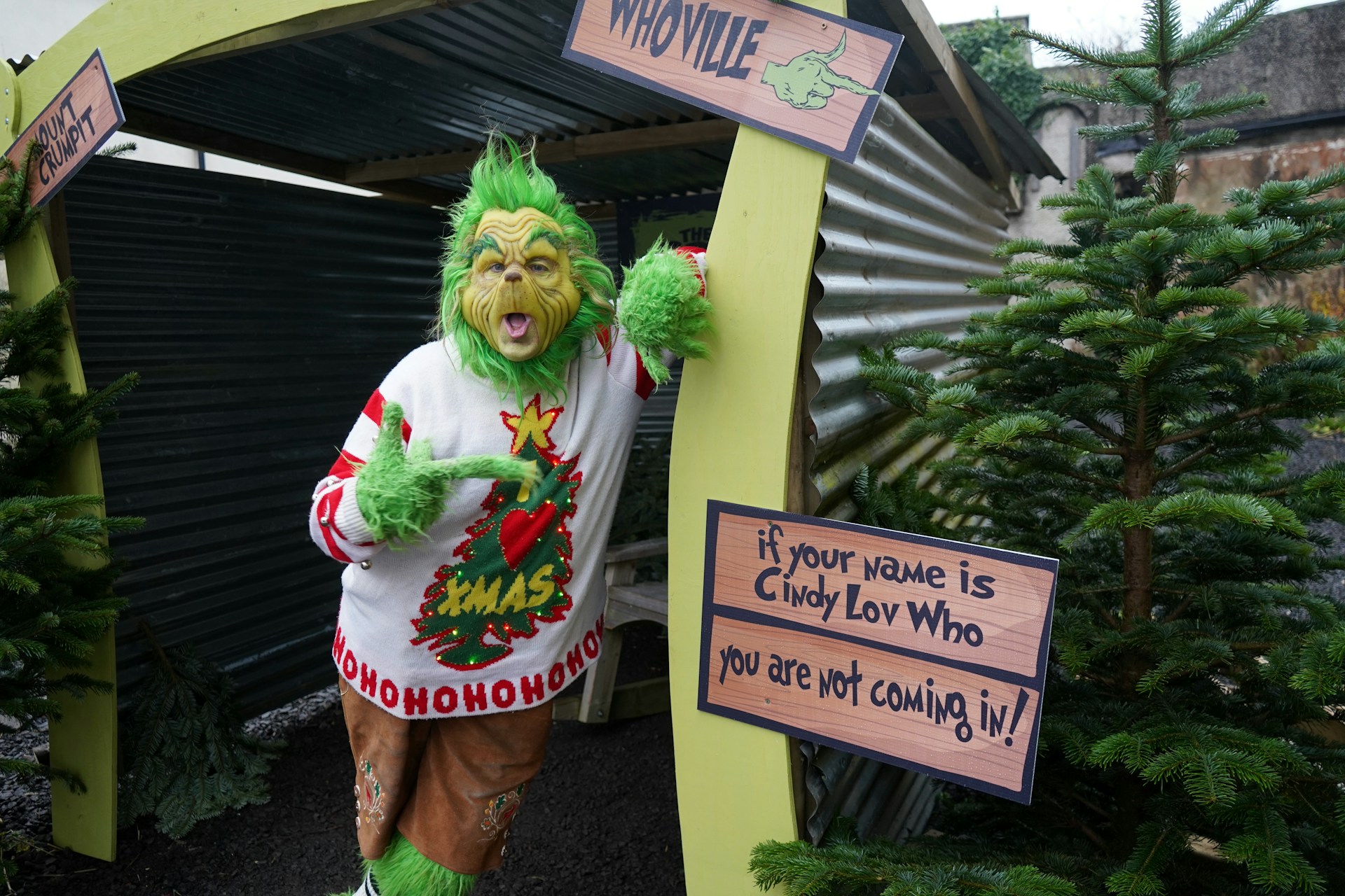 Pourquoi ces trois signes astrologiques n’aiment pas vraiment Noël