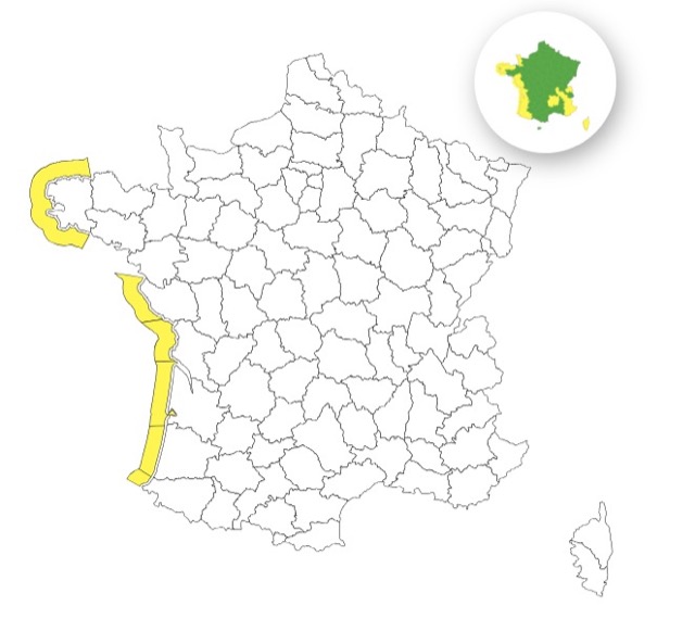 Vagues-submersion : six départements placés en vigilance jaune ce jeudi 4 décembre