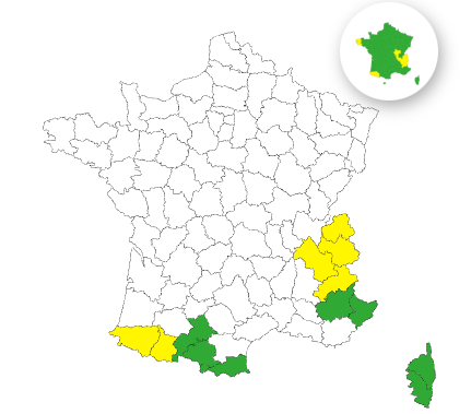 capture_d_cran_2025-11-29_070433_692a8d2c12141