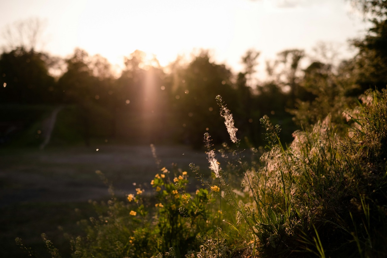 Les erreurs à éviter pour ne pas avoir d'allergies