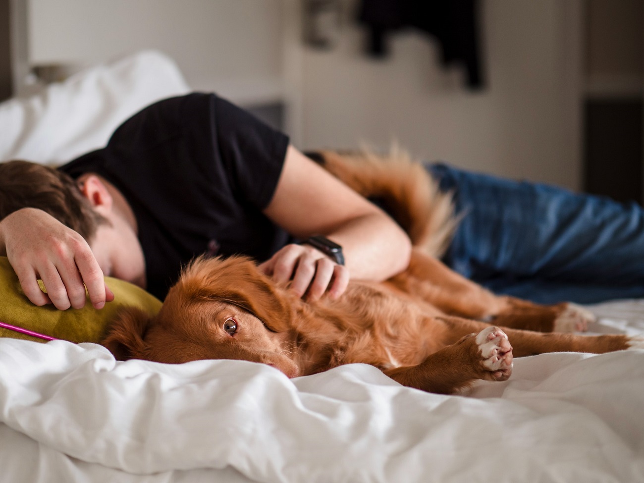 Mieux dormir grâce à son animal de compagnie