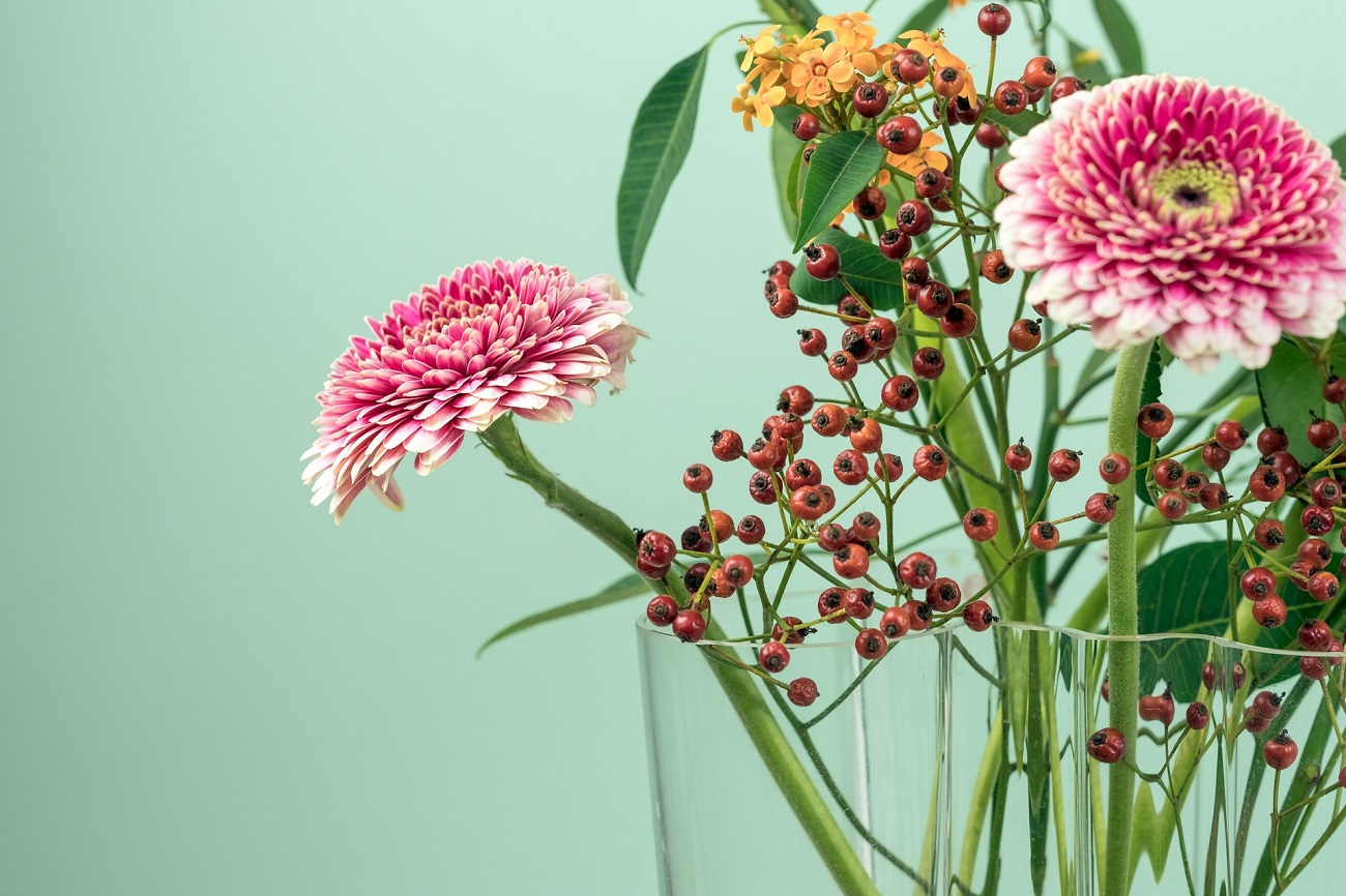 Horoscope 14 mai 2025 pour chaque signe astrologique