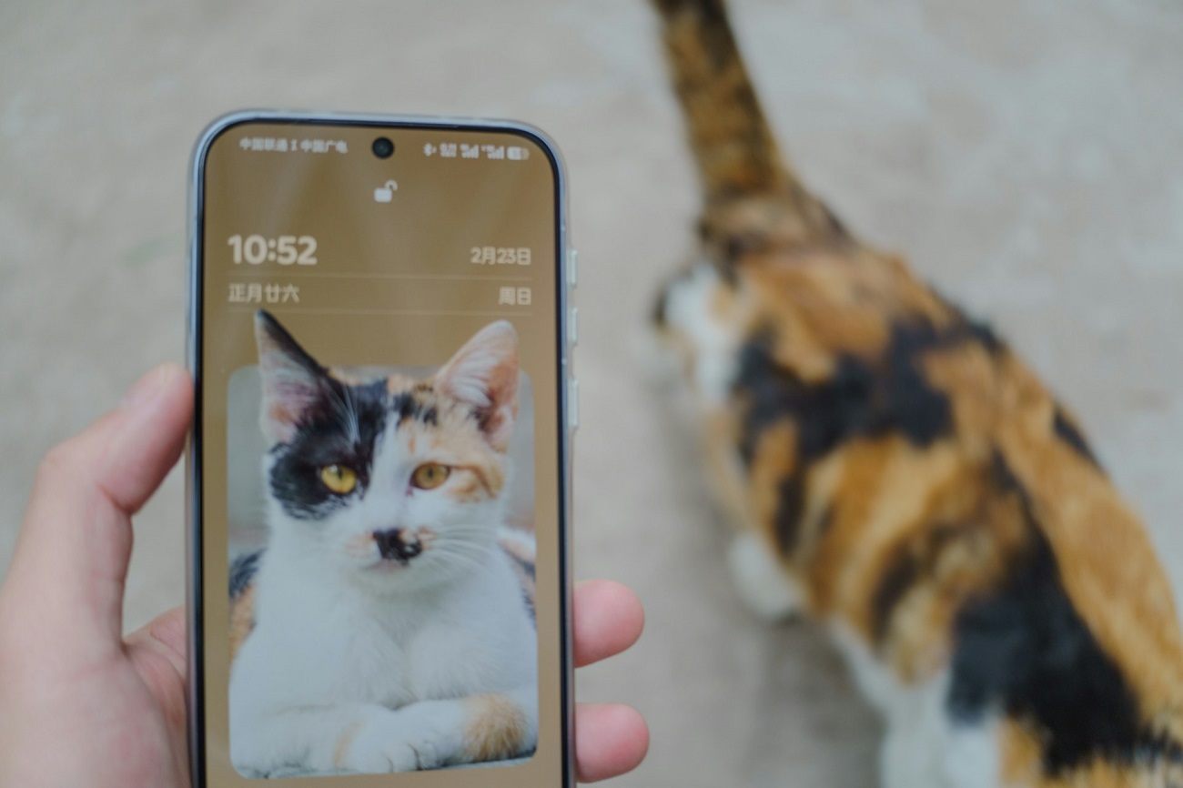 Attention à SparkKitty, le malware voleur d’images et de mots de passe 
