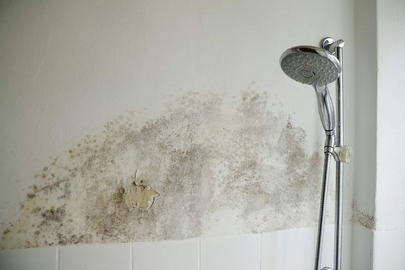 enlever-moisissure-salle-de-bain
