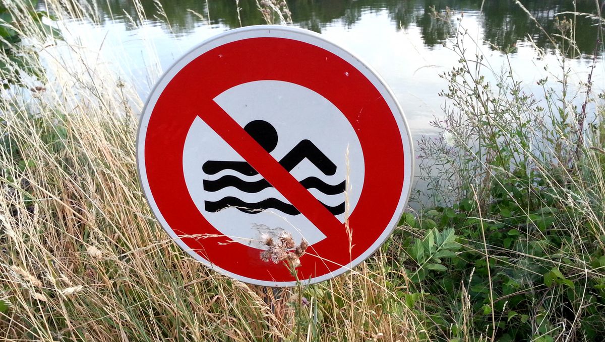 L’été 2025 marqué par une explosion des noyades : les autorités alertent face à un bilan dramatique