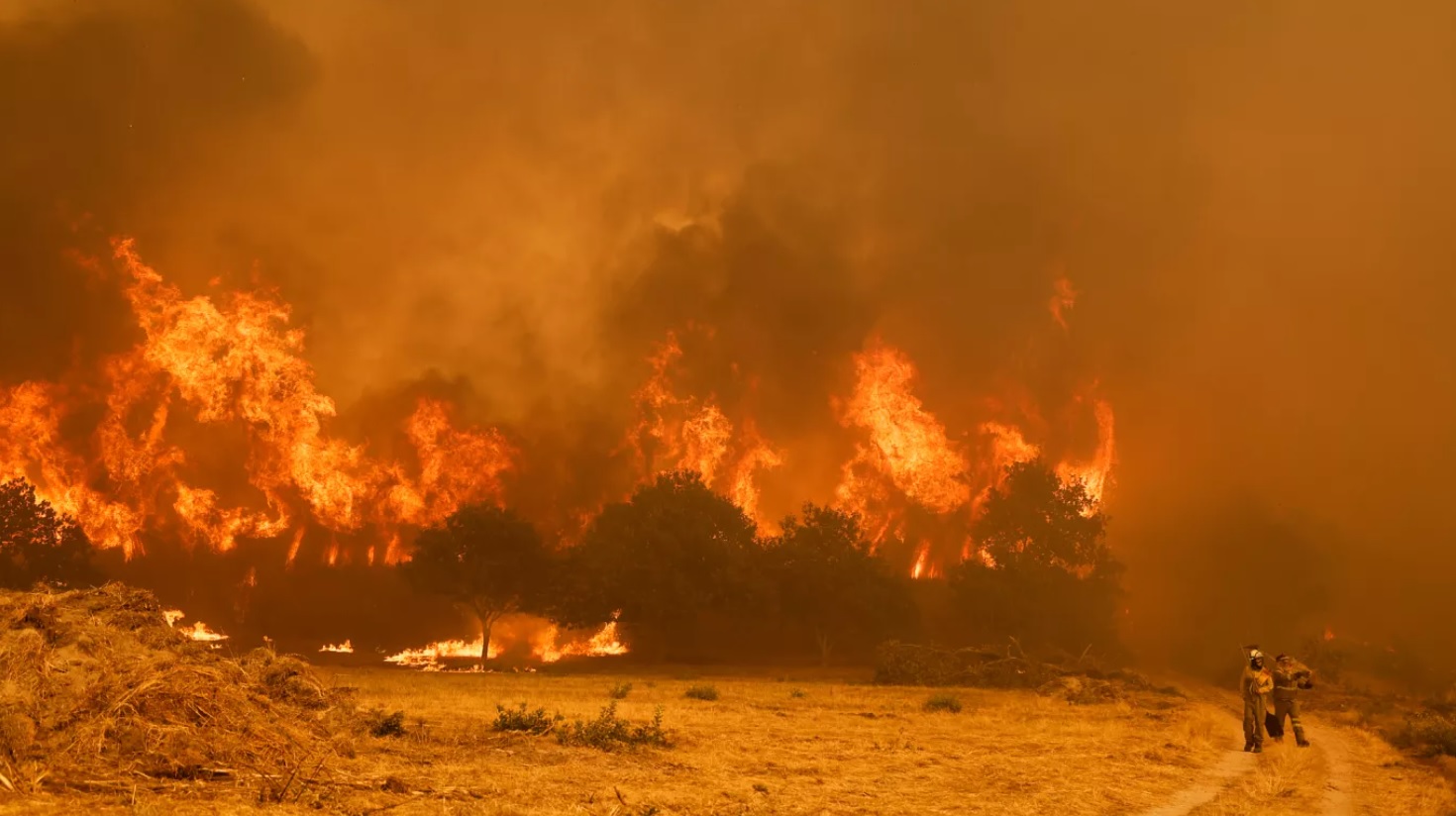 Incendies en Espagne : 343 000 hectares détruits, un triste record historique