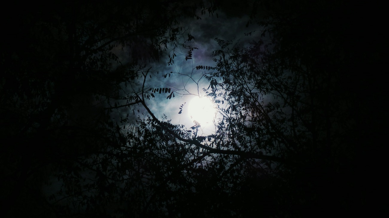 Lune noire : ce qu'il faut savoir sur le phénomène astronomique attendu dans la nuit de samedi 23 à dimanche 24 août
