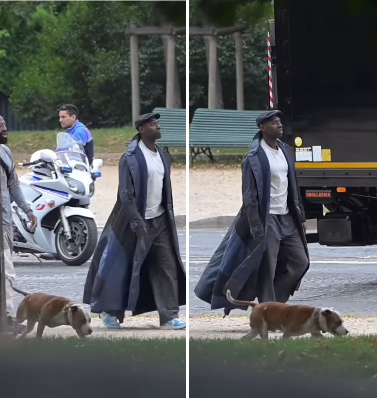 Omar Sy aperçu dans Paris avec son American Staff : les images qui interpellent