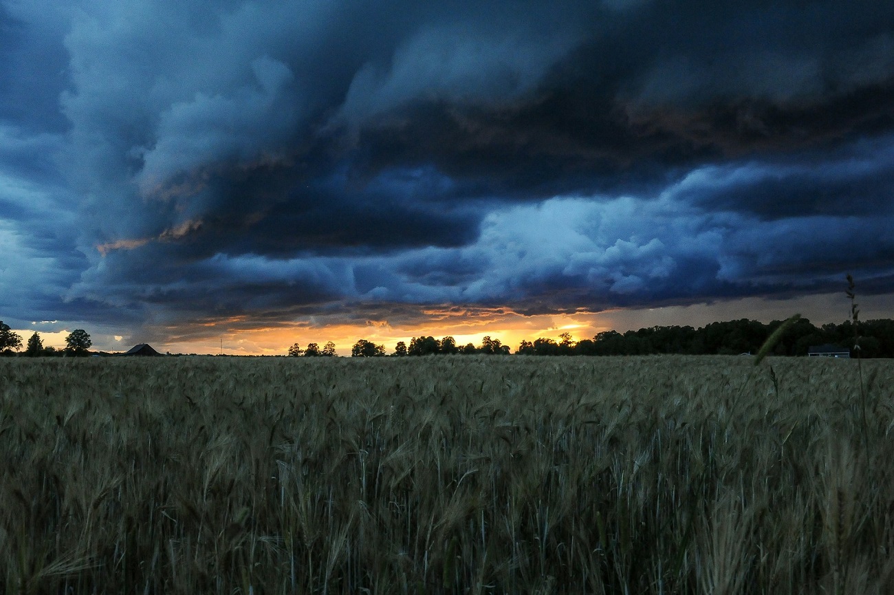 Orages en Corse : vigilance orange sur deux départements, alerte aux rafales violentes