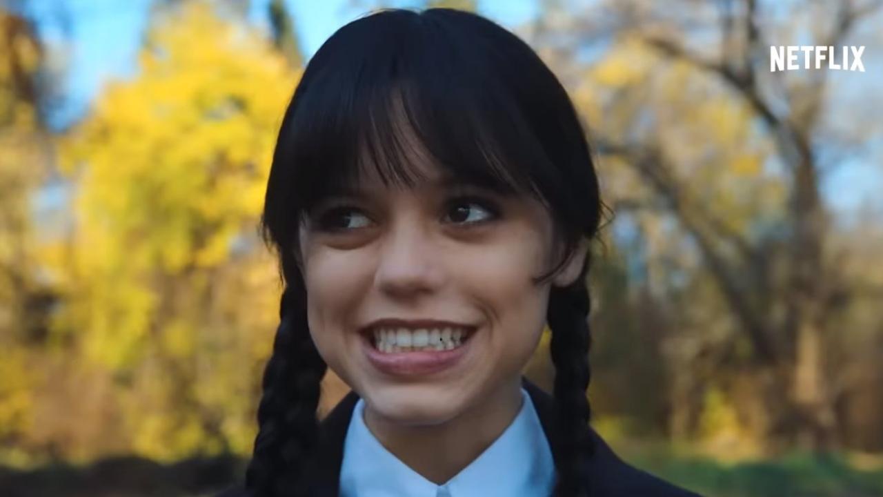 Mercredi sur Netflix : le résumé complet de la saison 1 pour tout comprendre