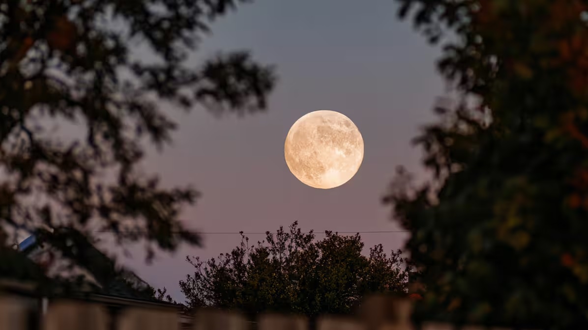 Pleine lune en Verseau du 9 août 2025 : ces 5 signes astrologiques vont en ressentir tous les bienfaits
