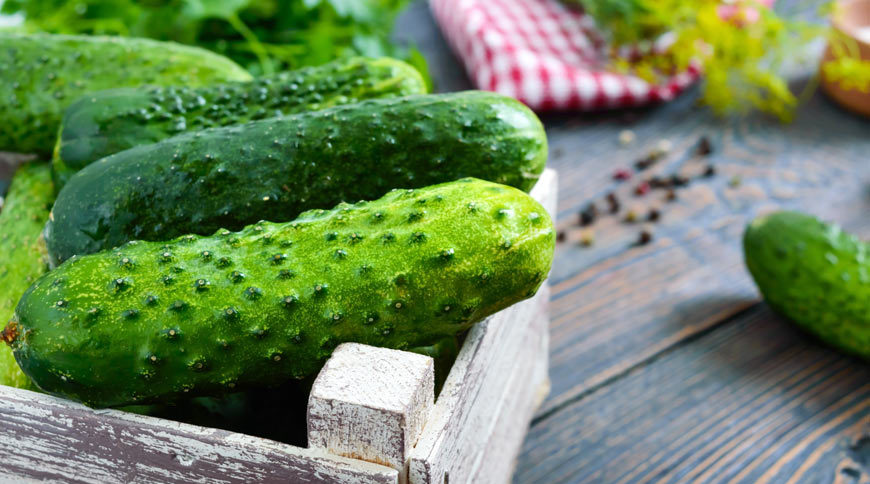 tendance-cornichon-reseaux-sociaux