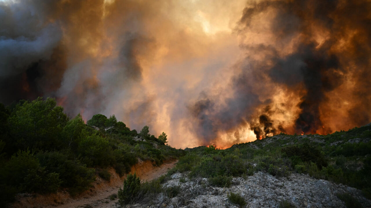 Incendie historique dans l’Aude : plus de 16 000 hectares ravagés, bilan humain et écologique dramatique