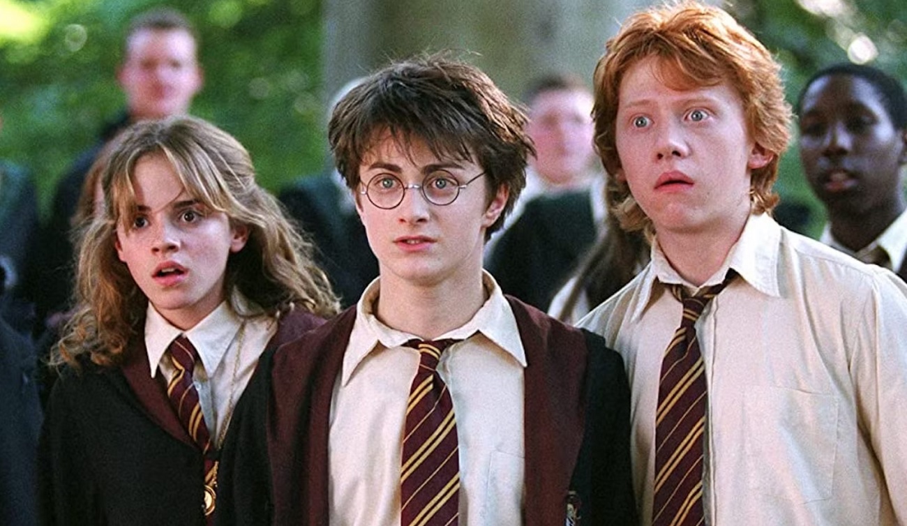 Ce cinéma du Maine-et-Loire organise un marathon Harry Potter avec les 8 films de la saga