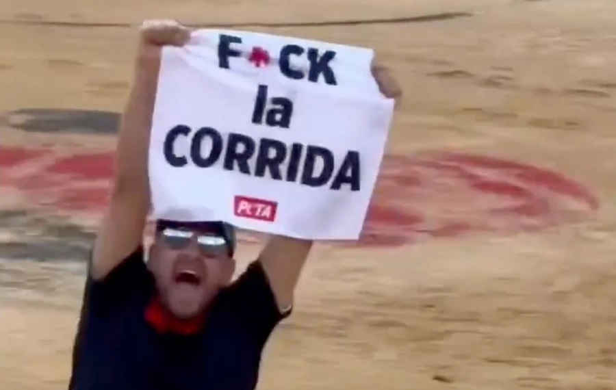 Jeremstar finit en garde à vue après une action anti-corrida aux arènes de Nîmes