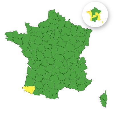 Vents violents : voici le seul département placé en vigilance jaune ce lundi