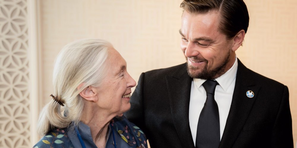 Jane Goodall est décédée : Leonardo DiCaprio pleure la mort d'une héroïne et amie proche