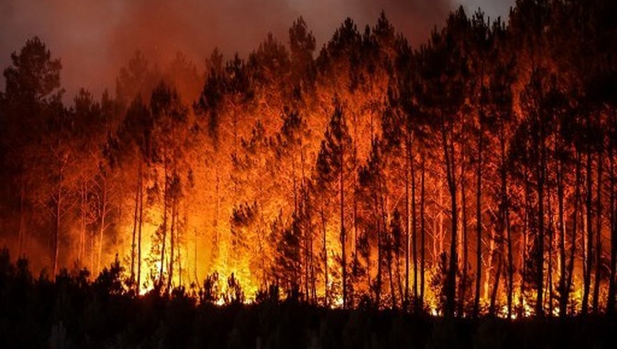 Ils deviendront bientôt inarrêtables : les experts expliquent pourquoi les feux de forêt seront de plus en plus meurtriers et incontrôlables