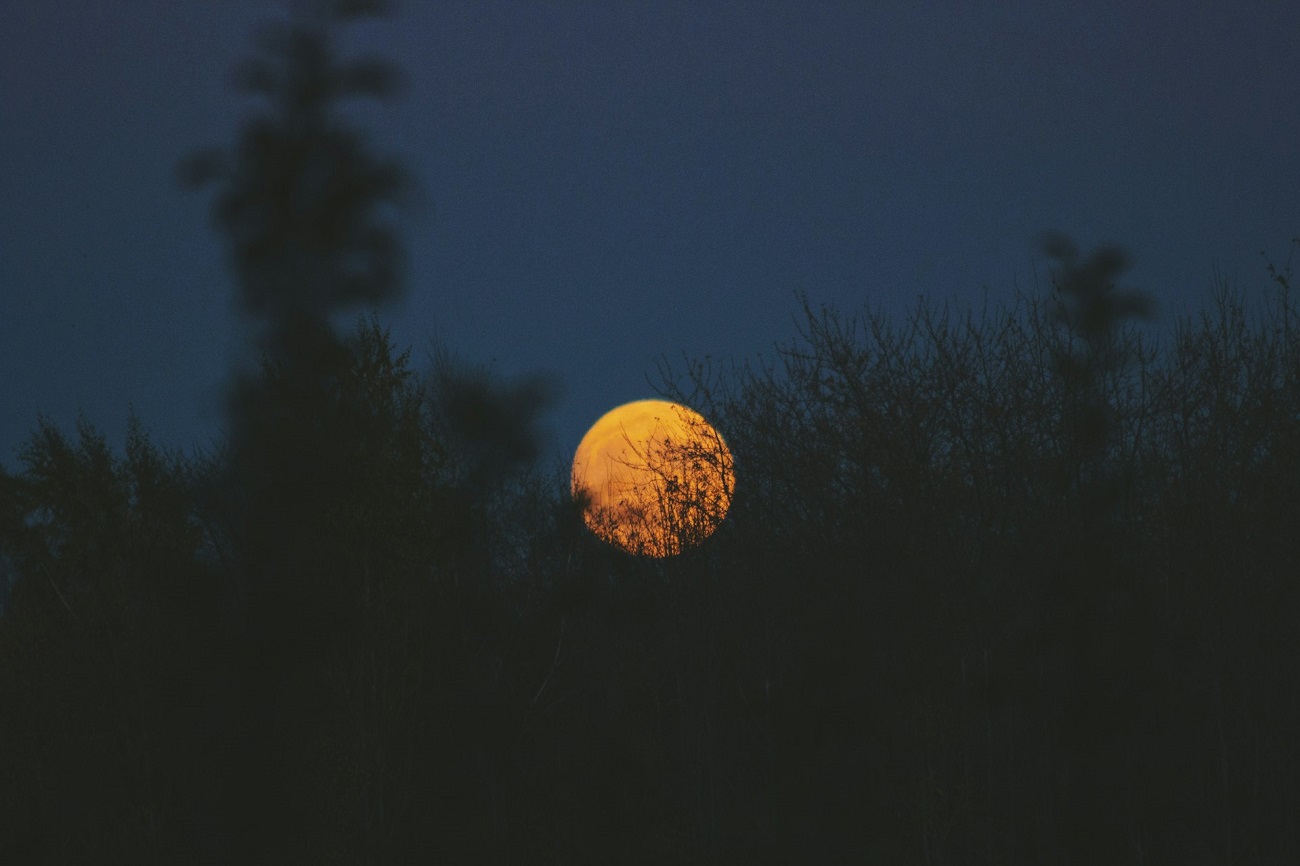 Nouvelle Lune du 21 octobre : ces 3 signes vont enfin révéler qui ils sont vraiment