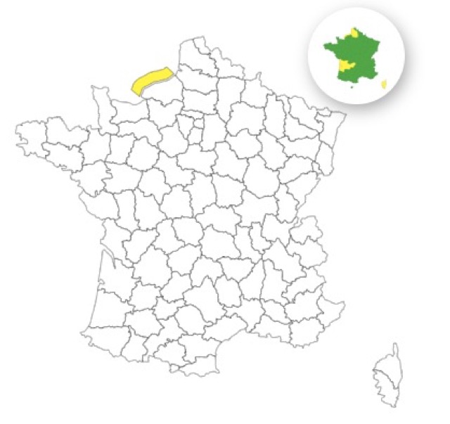 Vagues-submersion : voici le seul département placé en vigilance jaune ce mardi 21 octobre 2025