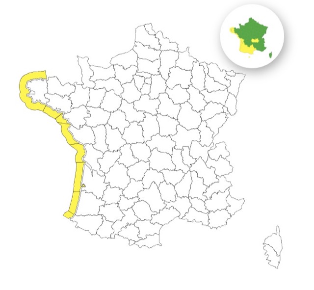 Vagues-submersion : voici les 8 départements placés en vigilance jaune ce jeudi 6 novembre 2025