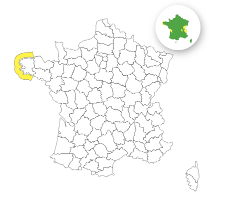 Vagues-submersion : voici le département placé en vigilance jaune ce mardi 4 novembre 2025