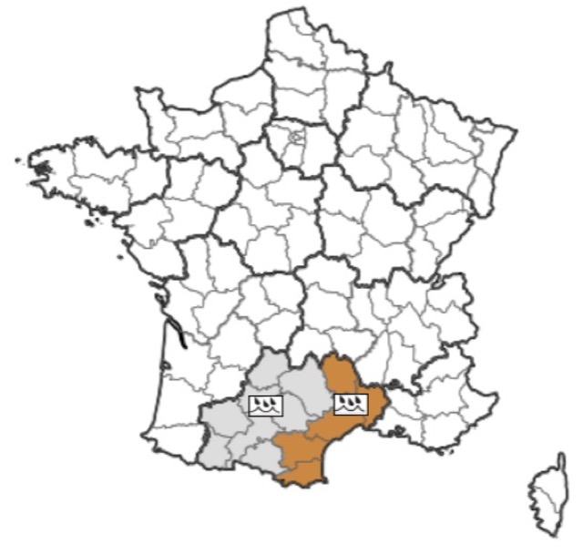 Fortes pluies : voici les 13 départements où les averses devraient être abondantes ce jeudi 6 novembre 2025