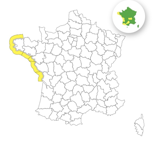 Vagues-submersion : voici les 5 départements placés en vigilance jaune ce mercredi 5 novembre 2025