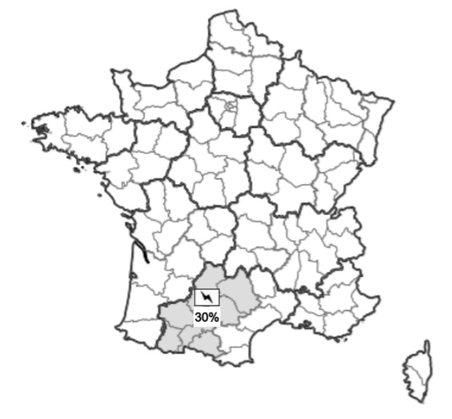Orages : ces 6 départements où la foudre devrait tomber ce dimanche 7 septembre
