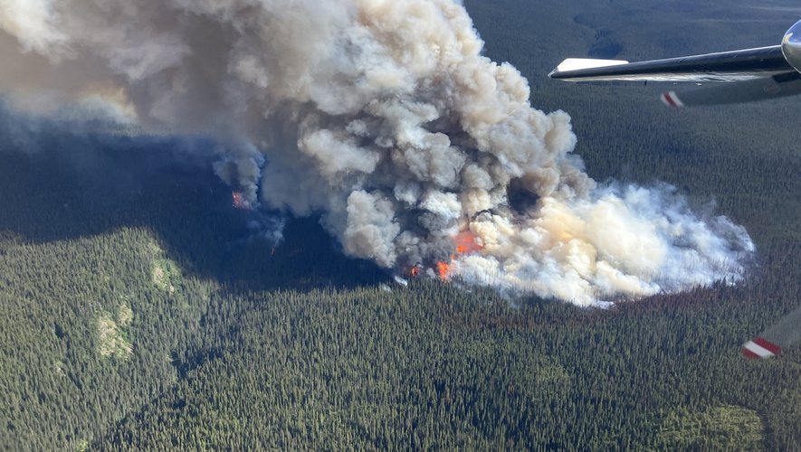 Méga incendies au Canada : la fumée aurait causé 70 000 morts dans le monde