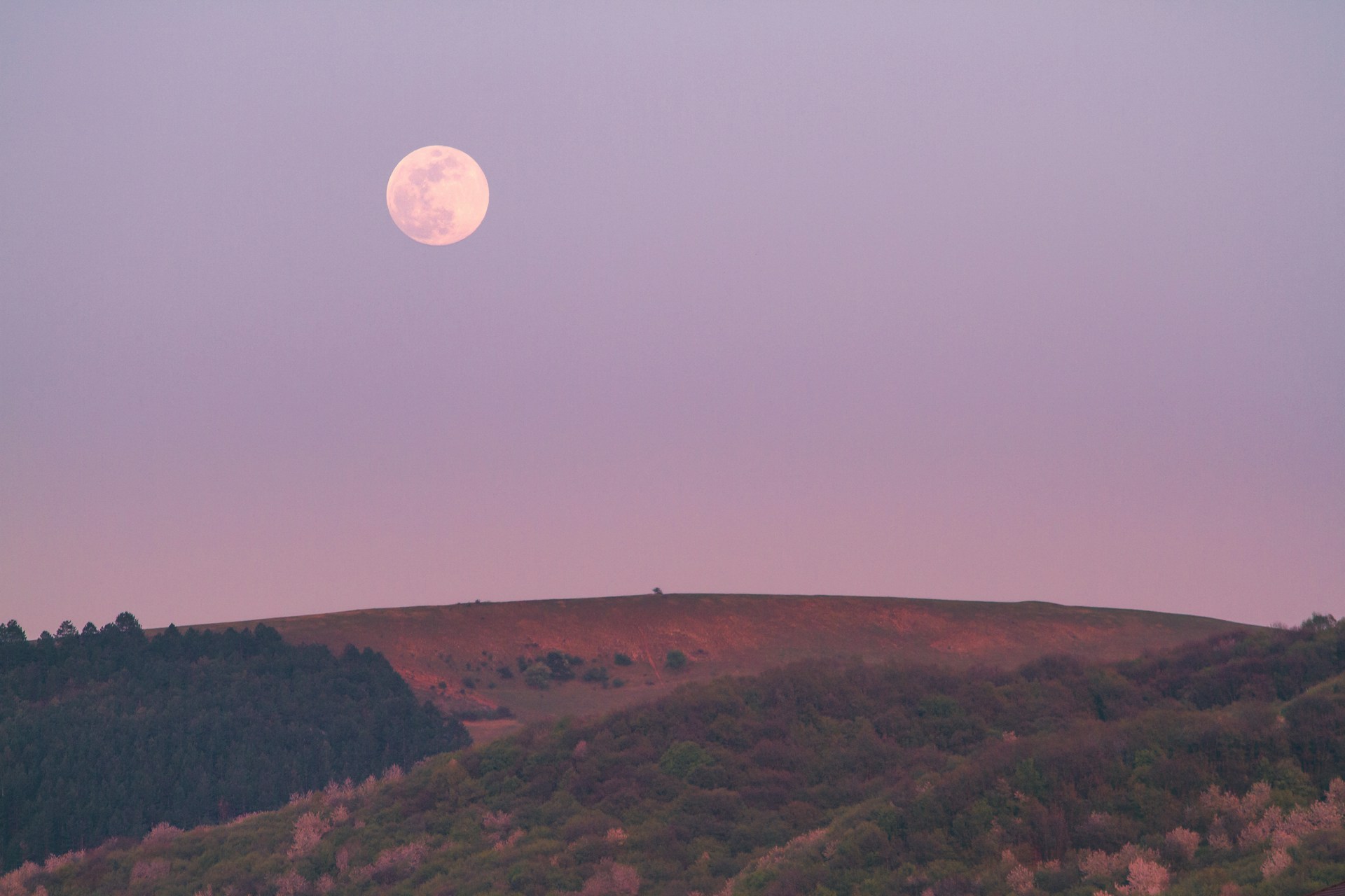 Ce jeudi à l’aube, un spectacle rare va apparaître dans le ciel : pourquoi la lune rose 2026 va vous surprendre