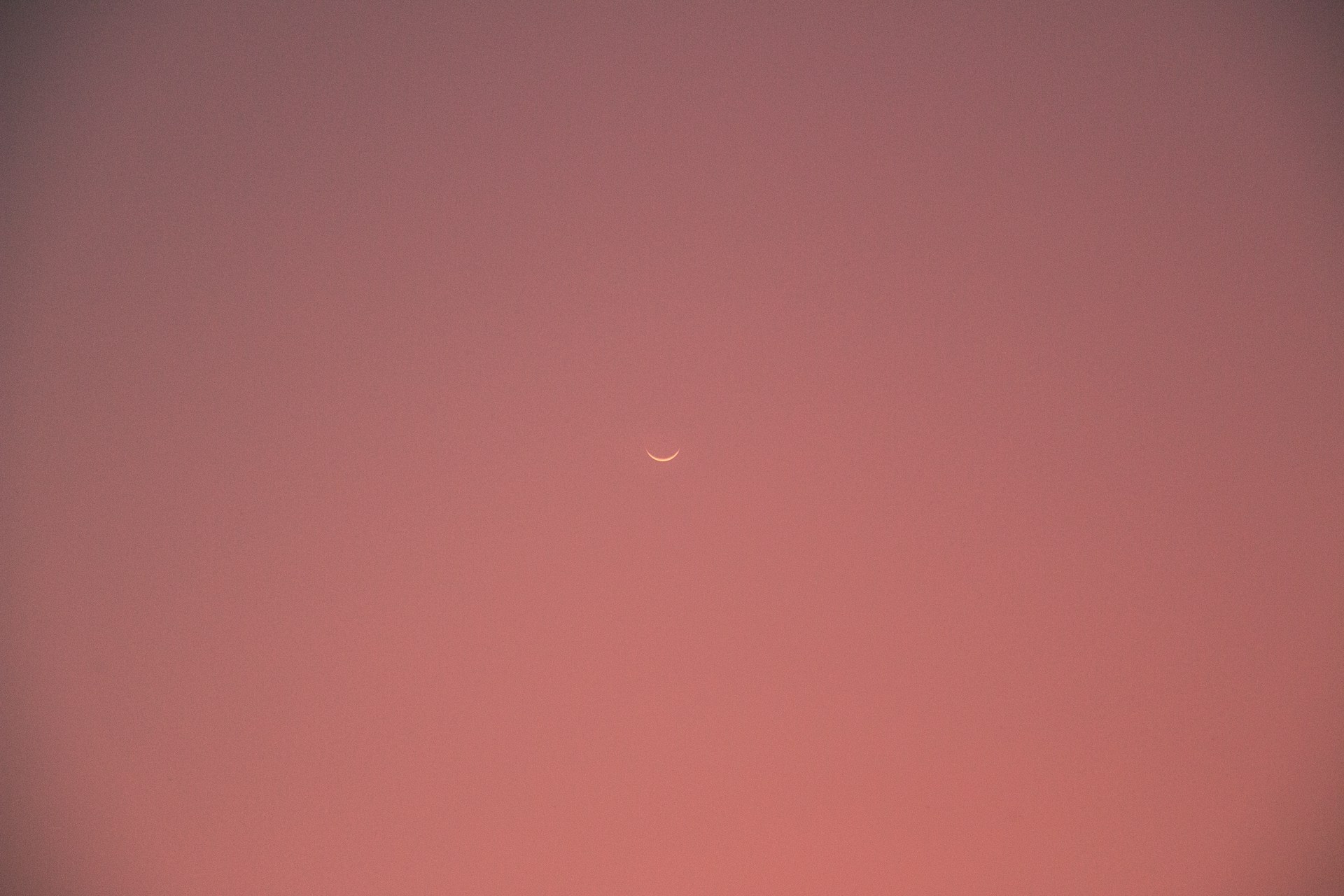 Ce que vous allez vraiment voir dans le ciel va vous surprendre&nbsp;: la lune rose pourrait prendre une teinte inattendue