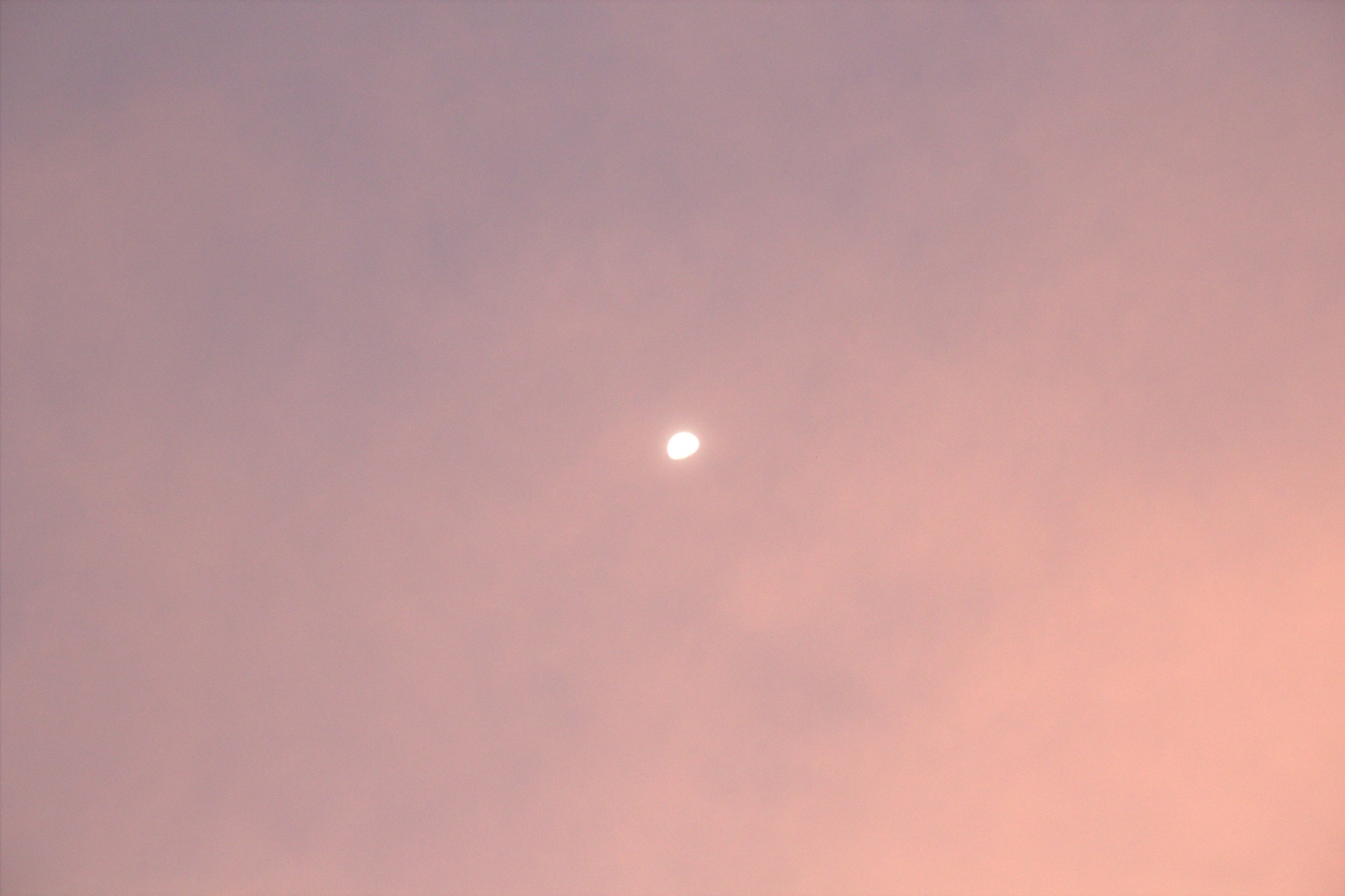 ich-rice-jN1Jhst0GnM-unsplash