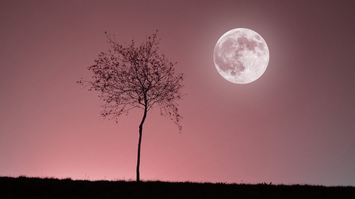 Tu ne peux pas deviner ce que je ressens&nbsp;: cette pleine lune du 2 avril 2026 pourrait provoquer de gros malentendus