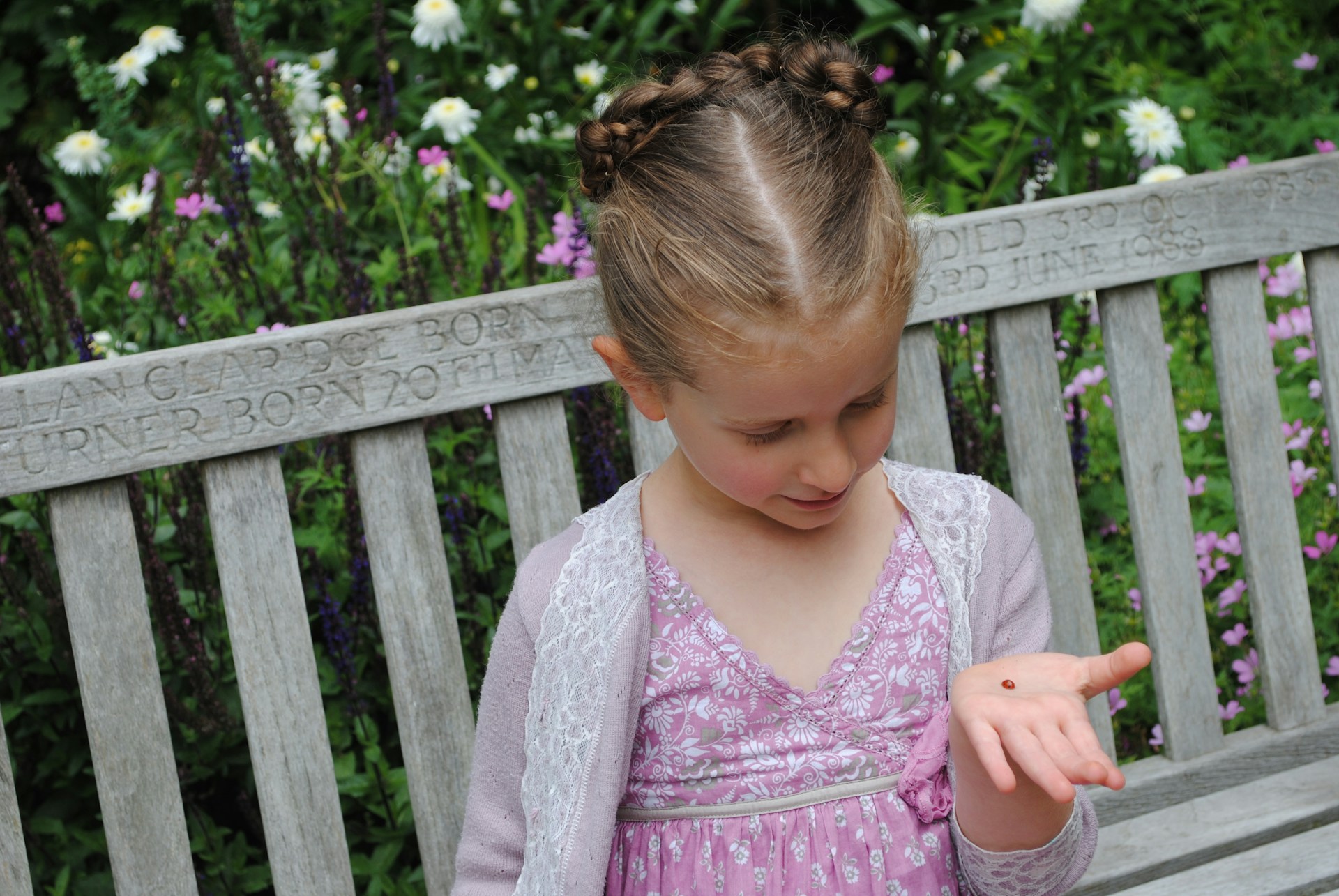 laura-marks-qrYHWoX0RpE-unsplash