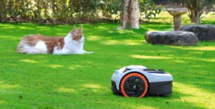 robot-tondeuse-pelouse