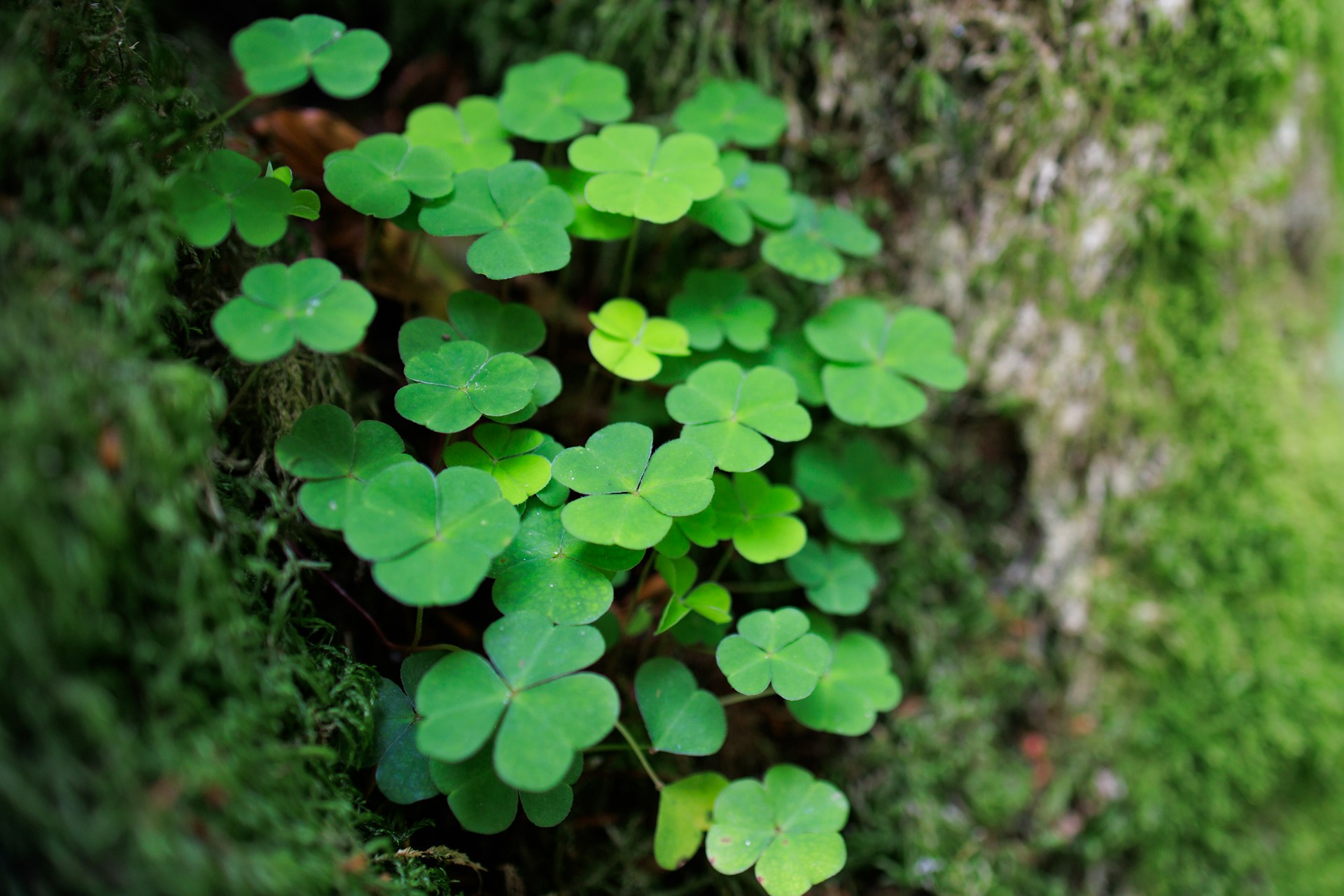 Les 3 signes astrologiques qui vont vivre un tournant ce vendredi 13