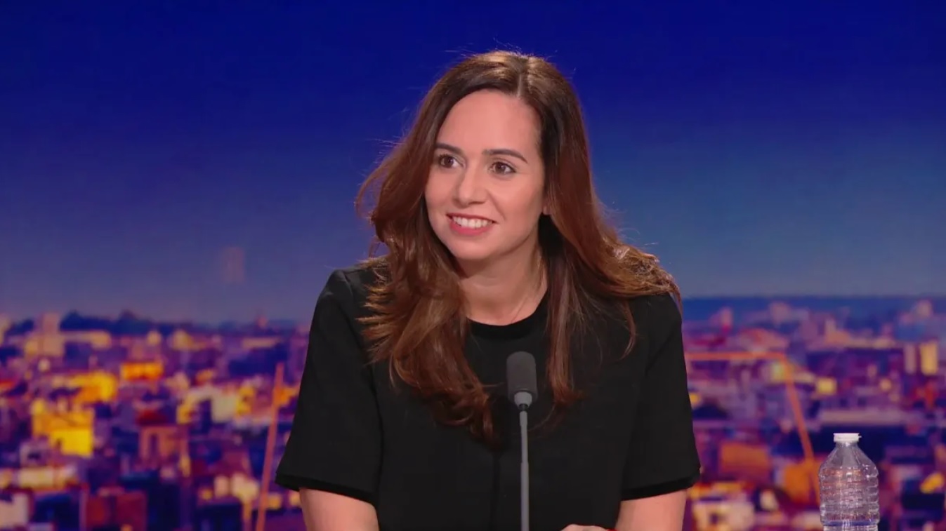 Je ne suis pas un singe savant&nbsp;: la phrase de Sarah Knafo qui a enflamm&eacute; les r&eacute;seaux