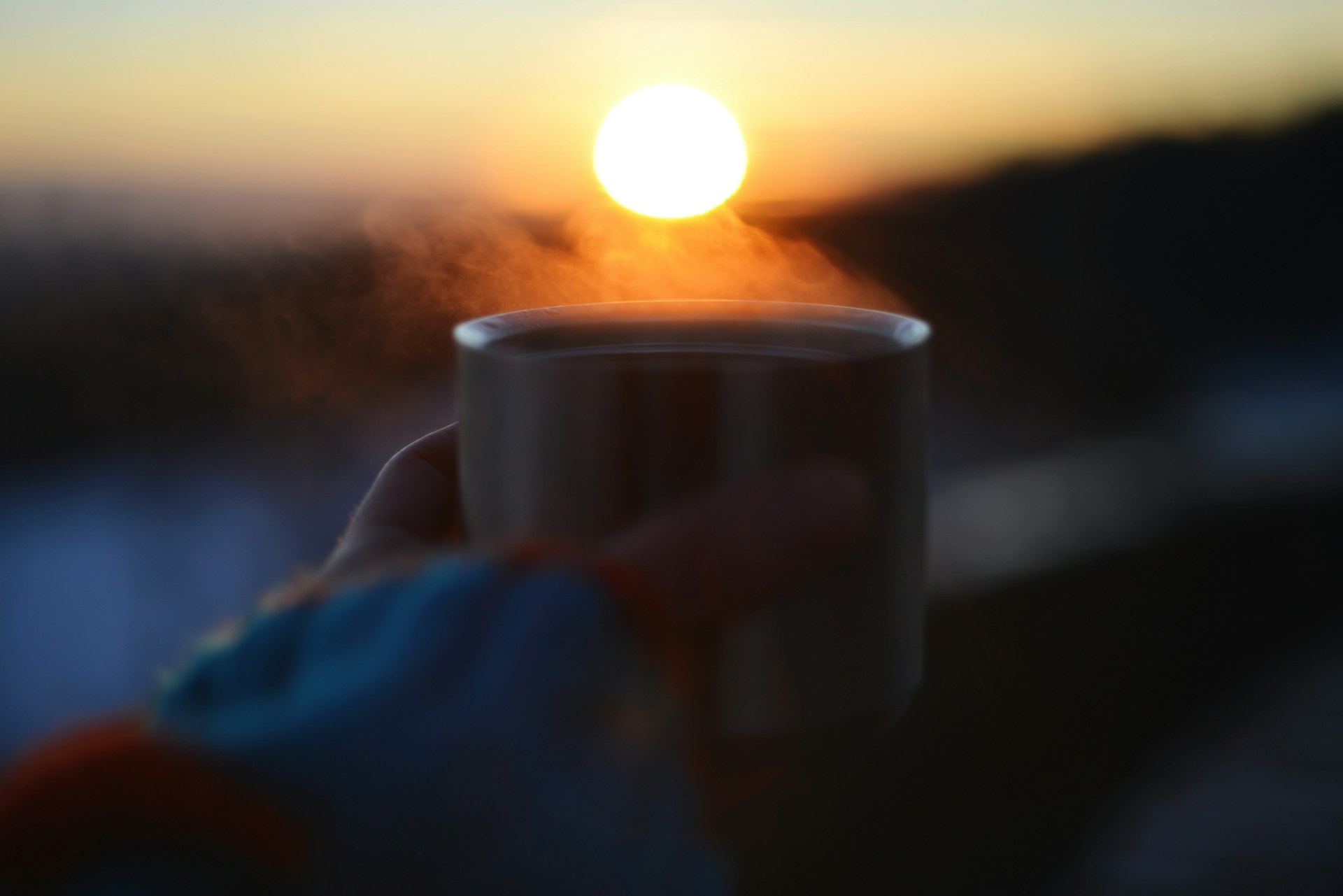 liana-s-Fng0qowWlkY-unsplash