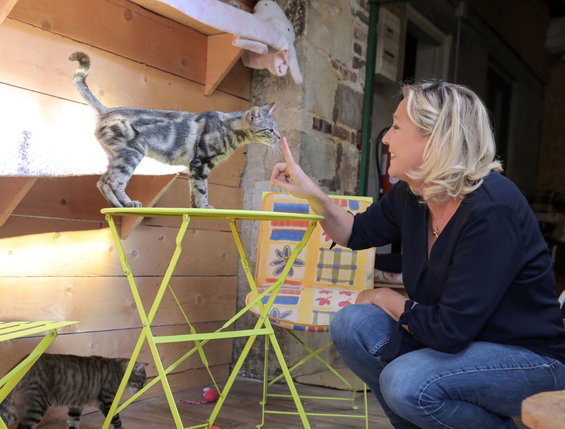Marine Le Pen pourrait-elle vraiment changer de vie pour ses chats&nbsp;?