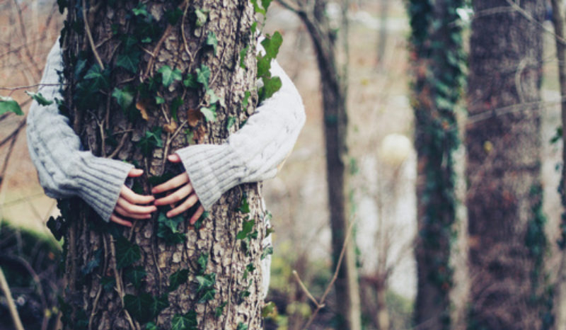 5 raisons pour lesquelles faire un câlin à un arbre est bon pour la santé | So Busy Girls